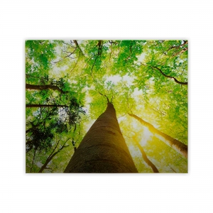 TELA GRANDE ESTRUTURA MADEIRA 40X60CM PERSONALIZ�VEL