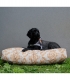 ALMOHADA PERRO PEQUE�A PERSONALIZABLE