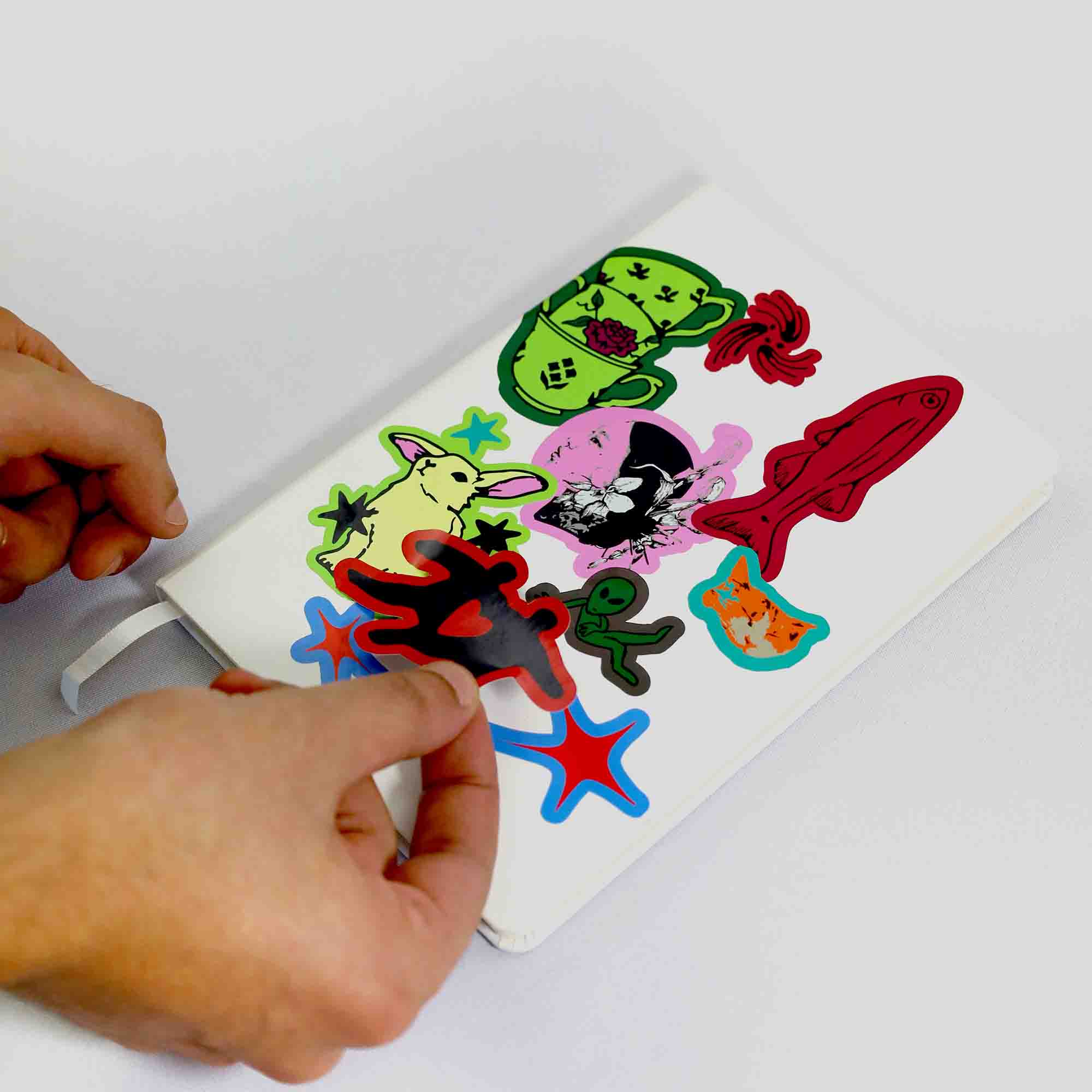 CARTELA A5 EM VINIL C/MEIO CORTE PERSONALIZ�VEL