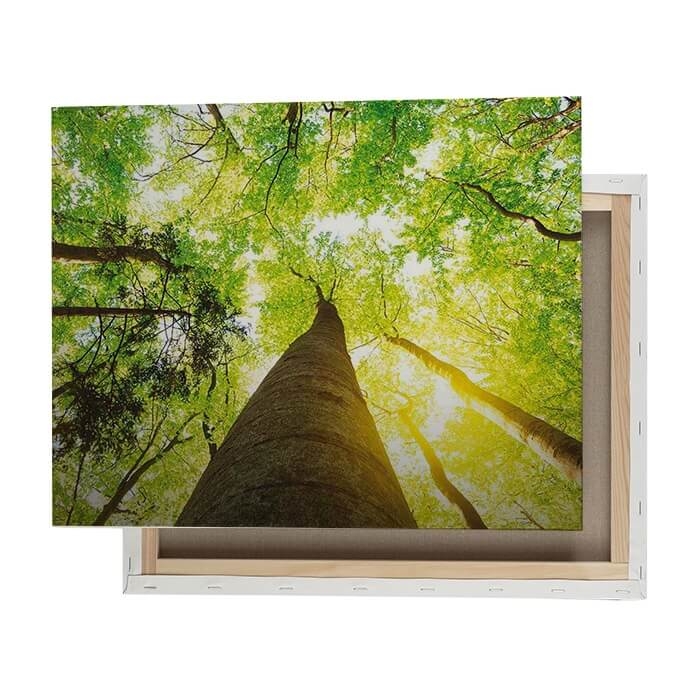 TELA GRANDE ESTRUTURA MADEIRA 40X60CM PERSONALIZ�VEL