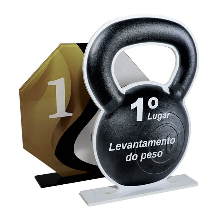 TROFEO ACRILICO 3MM 20X16CM PERSONALIZABLE